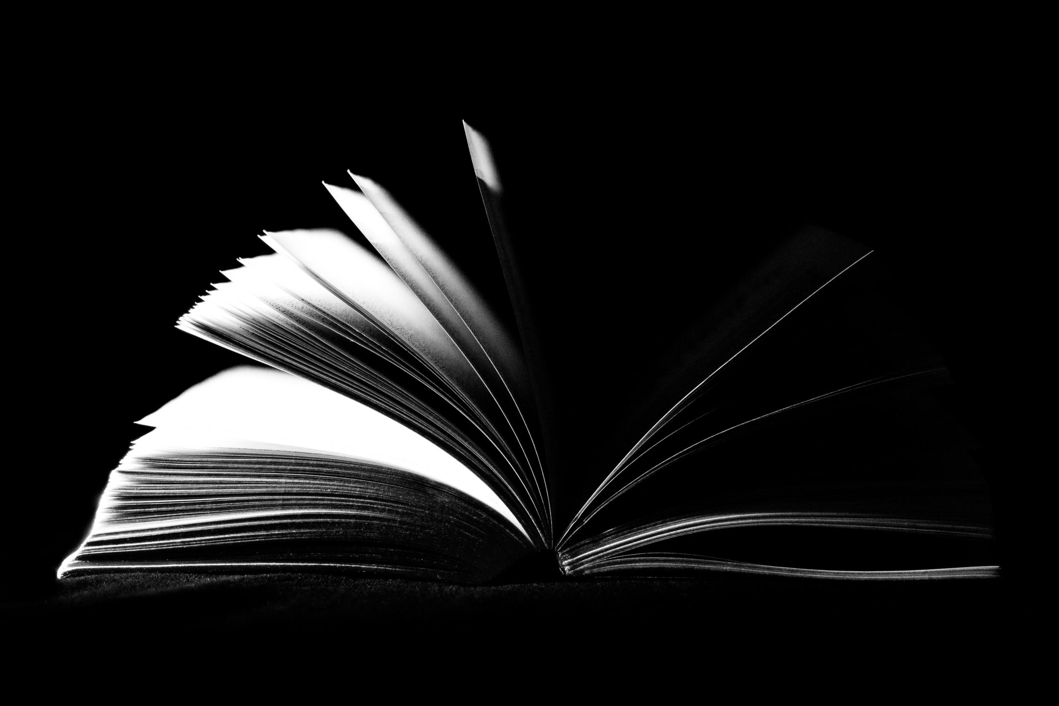 header01 header01